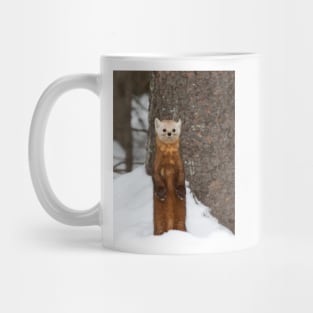 Pine Marten - Algonquin Park Mug